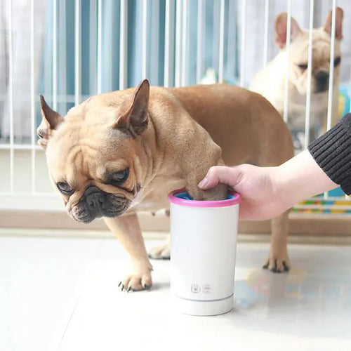 CleanSpin™ Automatic Paw Cleaner